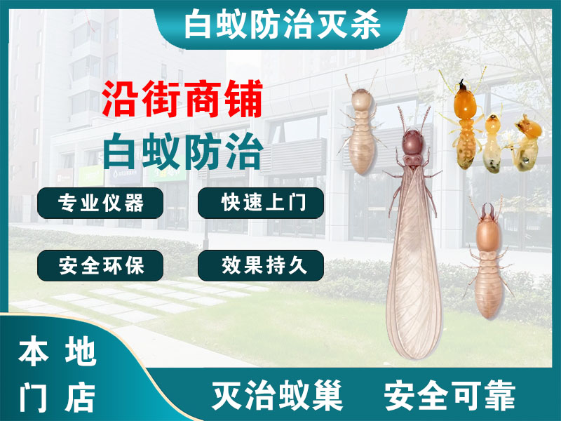 句容市沿街商铺白蚁防治