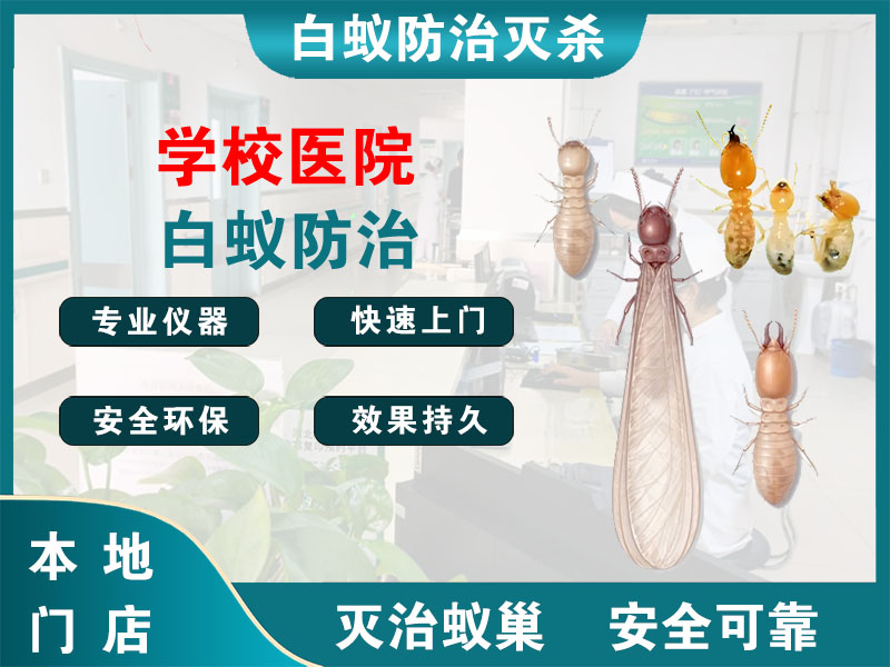 句容市学校医院白蚁防治