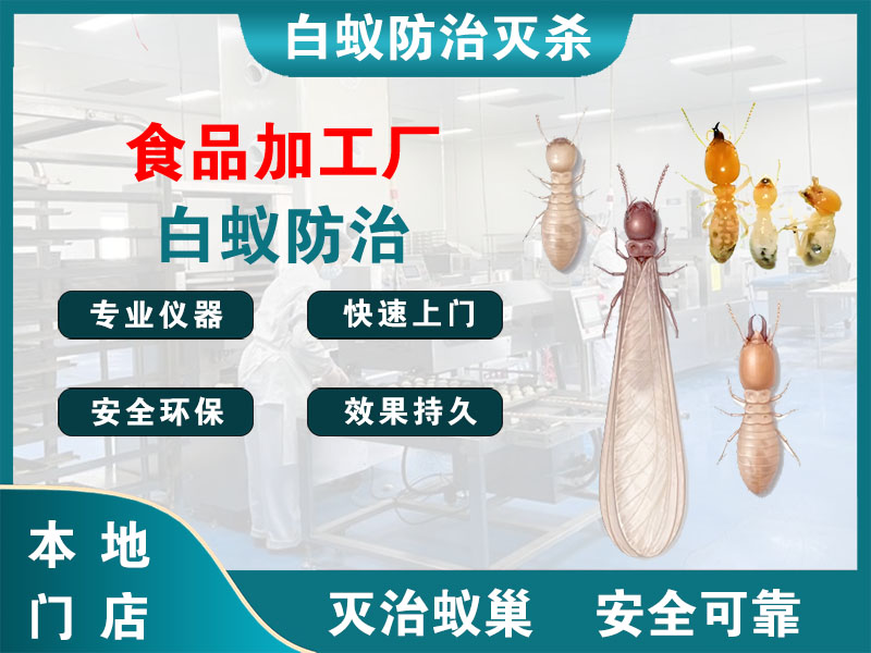 句容市食品加工厂白蚁防治