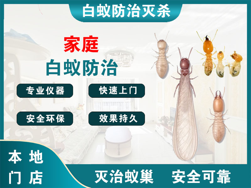 句容市家庭白蚁防治