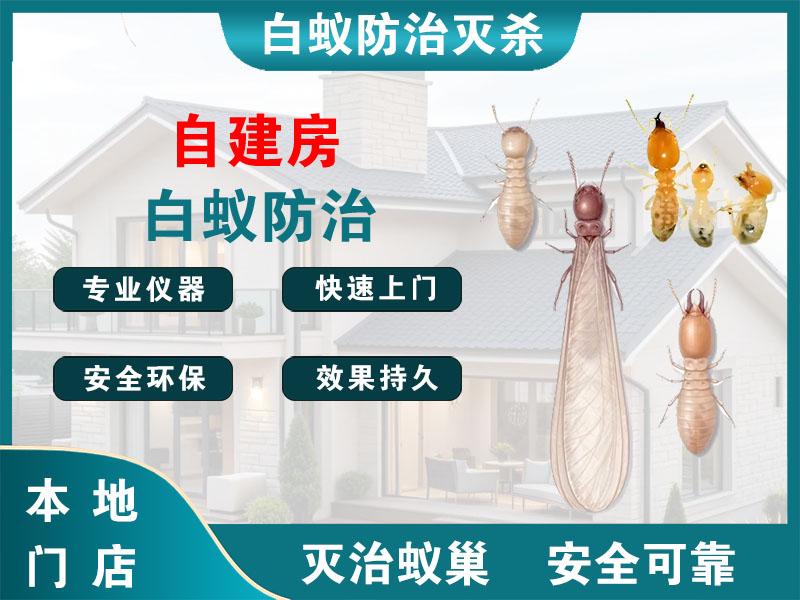 句容市自建房白蚁防治