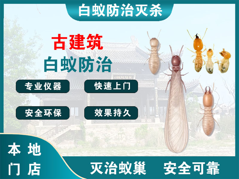 句容市古建筑白蚁防治