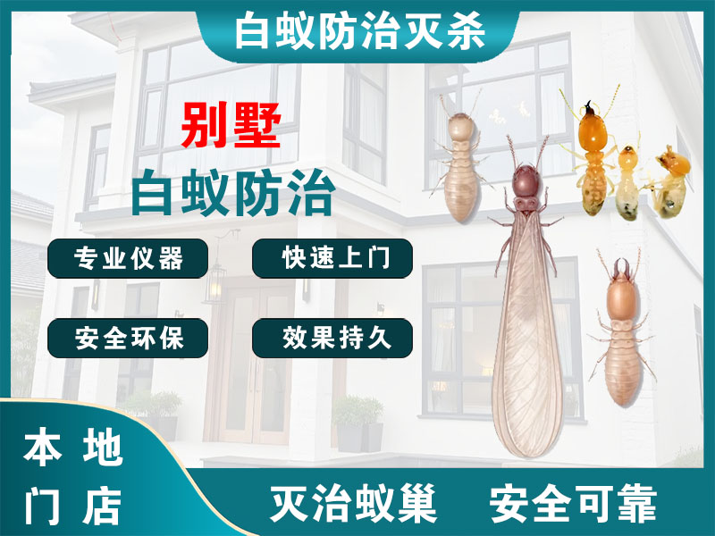 句容市别墅白蚁防治