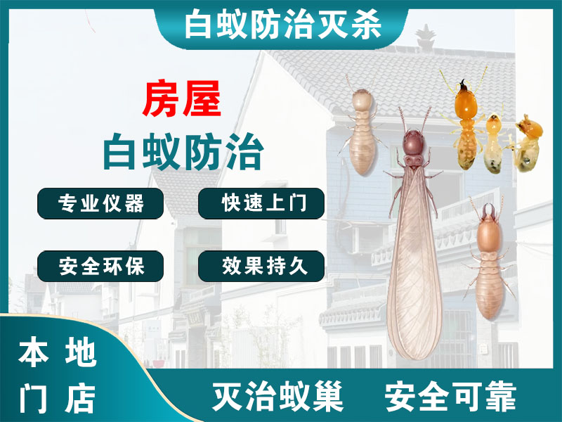 句容市房屋白蚁防治